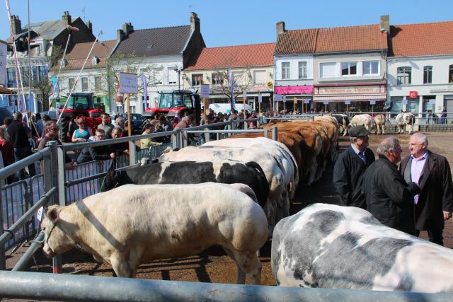 Concours Agricole d'Audruicq